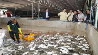 포항시장, 고수온 피해 양식어가 방문 어업인 격려