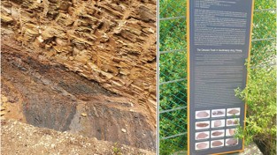 포항 금광동층 신생대 화석 산지, 국가 지정 유산(천연기념물) 지정