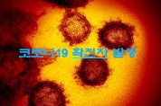 대구시, 코로나19 대응 주간 발생형황<’23.12.7.(목)>