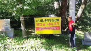 경북도, 산림 내 불법행위 집중단속 나선다