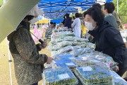 포항시산림조합, 제2회 임산물 홍보 축제 개최