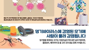 포항시, 지역거점 해외유입 모기매개 뎅기열 예방관리 강화!
